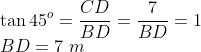 \\\tan 45^o = \frac{CD}{BD} = \frac{7}{BD} = 1\\ BD =7\ m